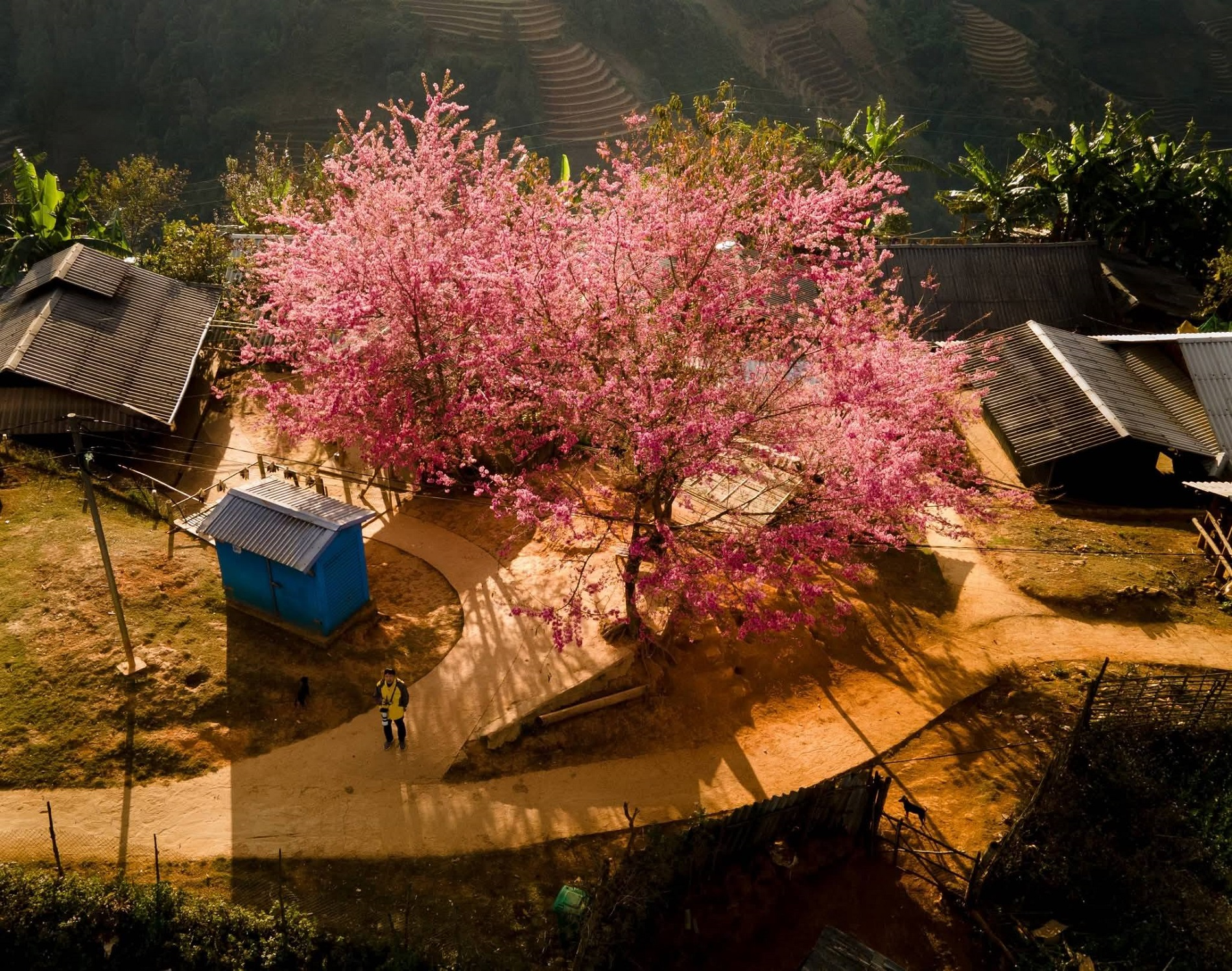 Khúc nhạc trữ tình đầu năm