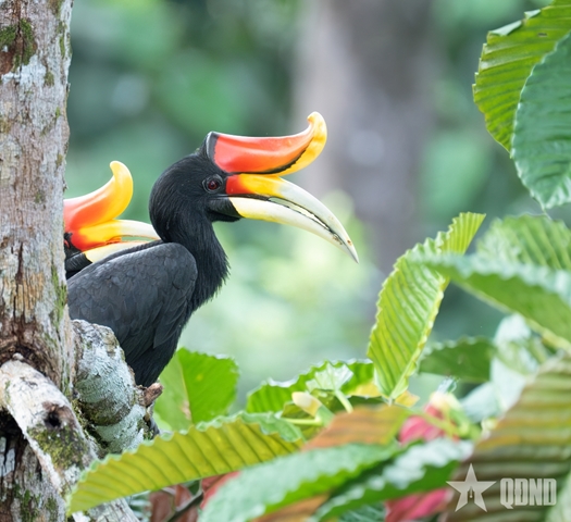 Giữa hoang vu nghe tiếng gọi mơ hồ...