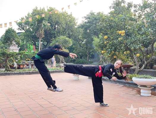 Hình tượng ngựa trong võ cổ truyền