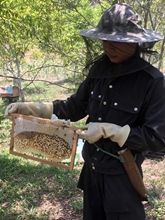 Giữ vị ngọt của rừng