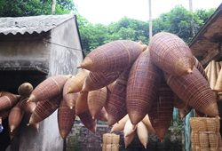 Chồng là cái đó, vợ là cái hom