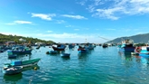 Nhịp sống của biển