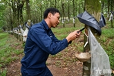 Mãi một tình yêu Trường Sơn

