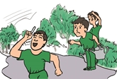 Cao cờ