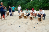 Du lịch Côn Đảo hấp dẫn mùa rùa đẻ trứng