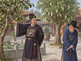 Chỉ tang mạ hòe