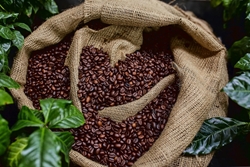 Việt Nam - điểm đến của cà phê