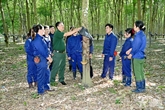 “Vàng trắng” trên cao nguyên đỏ
