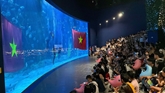 “Đại dương” giữa lòng Hà Nội