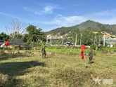 Trả lại màu xanh cho đại ngàn

