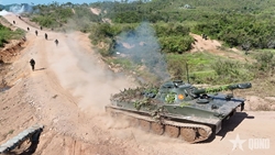 Tiếng súng trong rừng