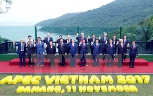 越南融入国际社会征程中的深刻烙印