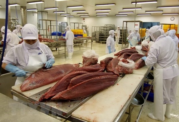 促进越南金枪鱼出口增长的“催化剂”