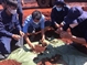 越南第七军区举行在柬牺牲越南志愿军烈士遗骸搜寻归宿工作组出征仪式