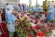 越南对中国市场出口新鲜水果适应新规定