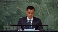 越南呼吁改革联合国安理会