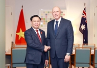 越南国会主席王廷惠会见澳大利亚教育部长和澳大利亚反对党领袖