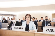 越南继续促进各项倡议提高联合国人权理事会的运行质效