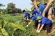 胡志明市青年举行“绿色星期日”出征仪式