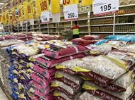 今年前四个月泰国大米出口大幅增长