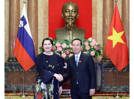 越南国家主席武文赏接受六国大使递交的国书