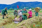 阿德口岸边防部队帮助人民收割水稻