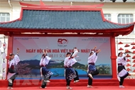 越日文化节在巴地头顿省举行