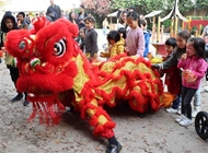 旅居海外越南儿童共享越南民族传统中秋节