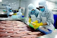越南是阿联酋市场最大查鱼供应国