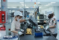 印度专家：越南是地区乃至世界的重要国家