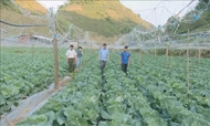 山罗省木州高原促进有机农产品出口活动