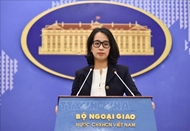 外交部例行记者会：采取必要领事保护措施 协助在缅甸获救的越南公民回国