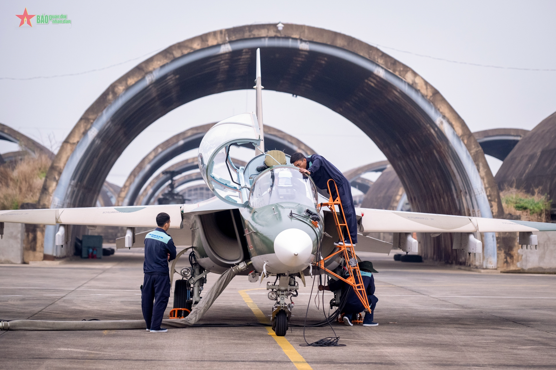 Gallery - 	为庆祝民族重大节日做出贡献