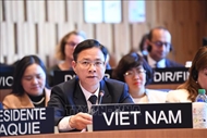 越南重申在联合国教科文组织中积极与负责任的作用
