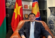 进一步深化越南与白俄罗斯之间的关系