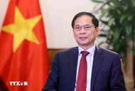 越南政府副总理兼外长裴青山：为促进越南与各国合作提升到新高度奠定坚实基础