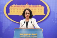 外交部发言人：450多名在缅越南公民已安全回国