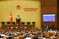 第十五届国会第九次会议：通过国会关于降低增值税税率的决议
