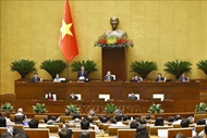 国会通过《〈企业法〉若干条款修改补充法》和关于降低增值税税率的决议