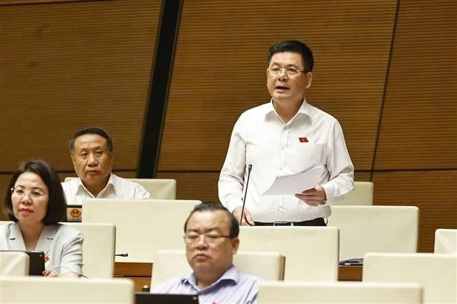 第十五届国会第九次会议：打击假冒商品工作已见成效但形势依然复杂