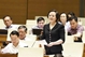 第十五届国会第九次会议：两级地方政府组织模式已准备就绪