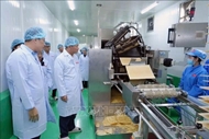 在老越侨企业——经济支柱与两国友谊桥梁