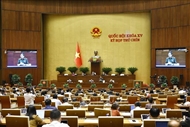 越南第十五届国会第九次会议：讨论《紧急状态法》草案