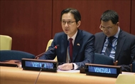 越南承诺与各国共同努力保护武装冲突中的儿童