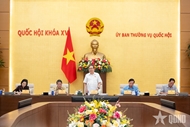 越南国会主席陈青敏：发挥“体制设计师”的作用
