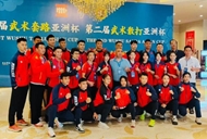 越南武术队创历史佳绩 亚洲杯斩获2金8银2铜