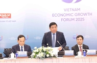 越南着力促进快速且可持续增长