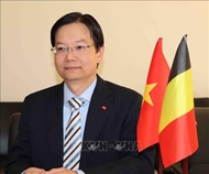 EVFTA实施五周年：全球动荡时期越欧贸易关系发展的引擎