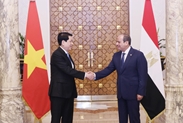 越南国家主席梁强访问埃及：两国发表关于将双边关系提升为“全面伙伴关系”的联合声明