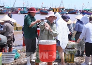解除IUU“黄牌”：宁平省严厉处理“三无”渔船